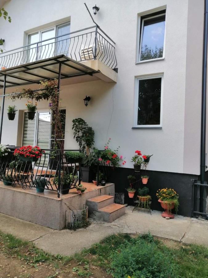 Apartment Mihajlovic Vranje Exterior foto